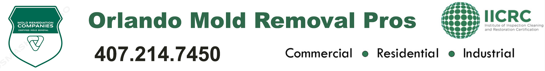 Orlando Mold Removal Pros