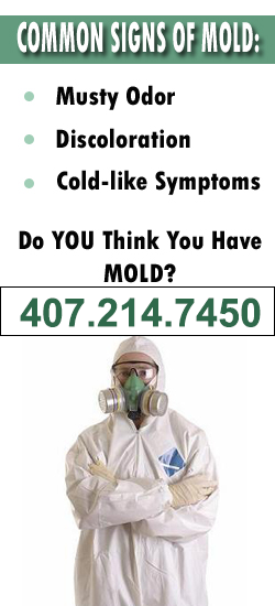 Orlando Mold Remediation Contractor